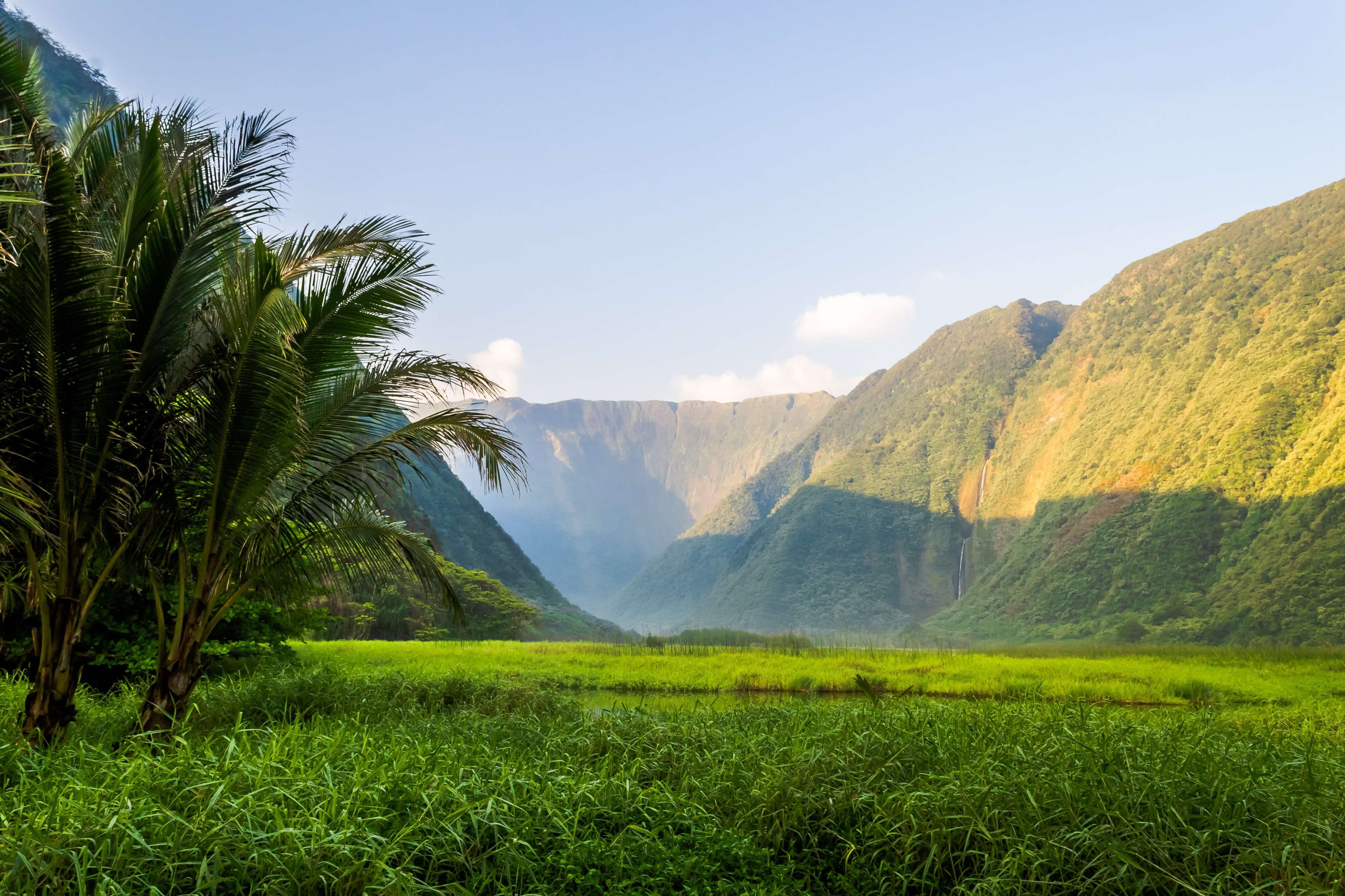 Green valley walls on Hawaiʻi island